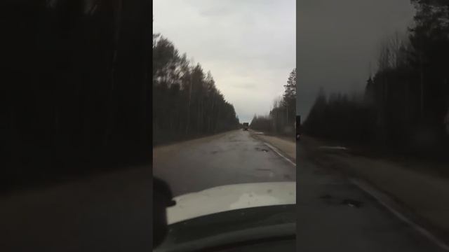 Въехали в Рязанскую область смотреть онлайн