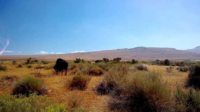"Остров Антилоп", Великое соленое озеро. Antelope Island, Great Salt lake, Utah смотреть онлайн