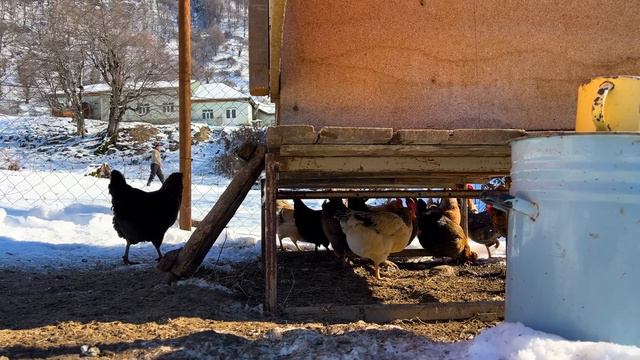 Baked Meat in the Oven in the Snowy Mountains! What They Eat and How they Live in the Village смотреть онлайн