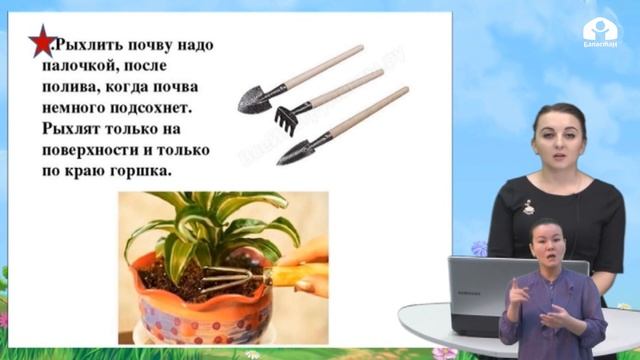 1 класс / Родиноведение / Ухаживаем за растениями / 12.05.20 смотреть онлайн