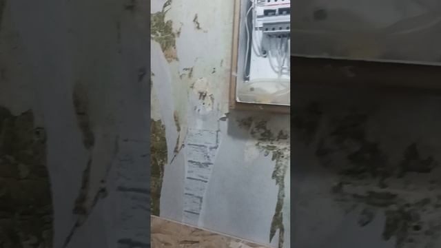 качественный ремонт однокомнатной квартиры смотреть онлайн