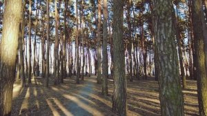 Ранняя весна в парке