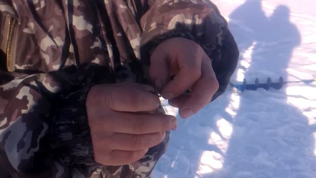 мастер-класс по зимней рыбалке смотреть онлайн