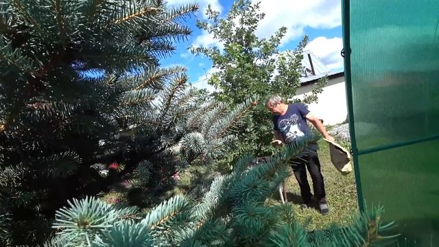 День торговли. смотреть онлайн