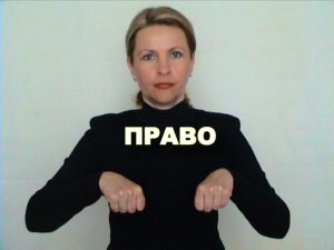 ЖЕСТОВЫЙ ЯЗЫК. СЛОВАРЬ. Право