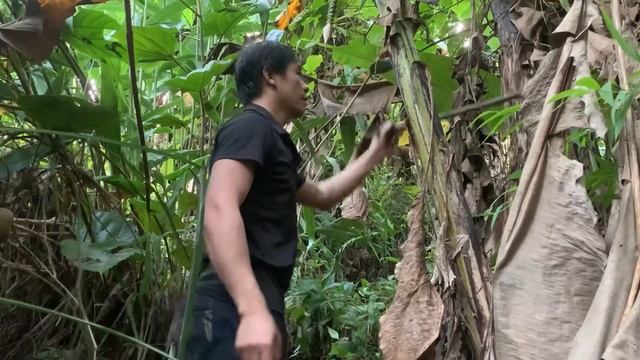 survival instinct, wild alone, detect signs of wildlife, build life (Ep 49) смотреть онлайн