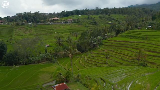 BALI 4K UltraHD • Relaxation Film With Peaceful Relaxing Music For Deep Sleep