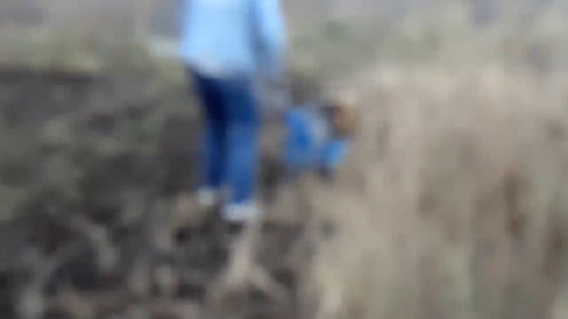 вспашка мотоблоком Нева смотреть онлайн