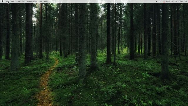 This OS Will RUN MAC APPS? - AiryxOS смотреть онлайн