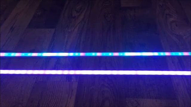 RGB 5050 VS RGB 3528 ..... 3528 Top - 5050 Down