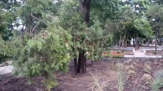Греческий парк в Одессе. Greek park in Odessa. смотреть онлайн