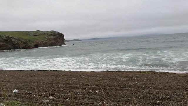 Поездка на п-ов Краббе смотреть онлайн