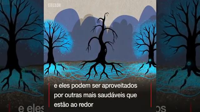 Agronegócio Extrato Pirolenhoso do Brasil Epb106 | A Natureza by Padrão *****MN смотреть онлайн