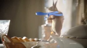 Новогодние заставки рекламы Первого канала с белками 2021-2022. Часть 3 (Первый канал, декабрь 2021)