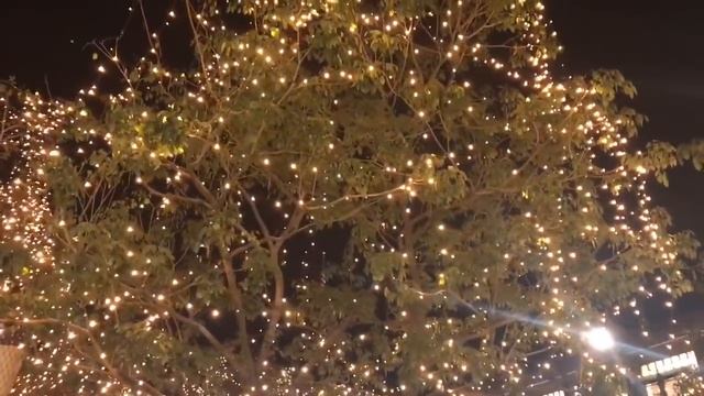 Как же у нас Красиво ! Елки-палки ! смотреть онлайн