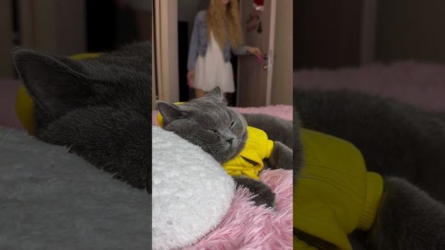 Чем он там занимается? #shorts