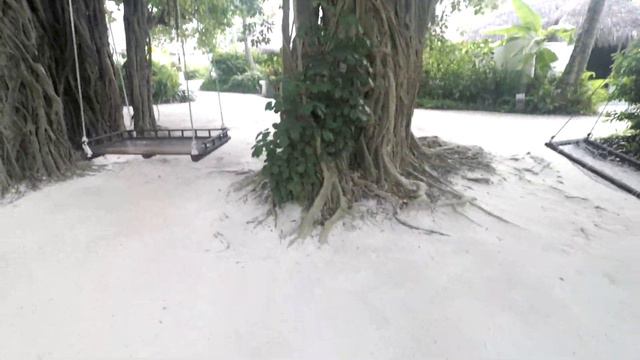 Only Minutes To Walk Around The Sheraton Maldives