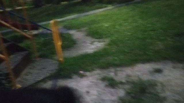 ВЛОГ . ваксой гуляет смотреть онлайн