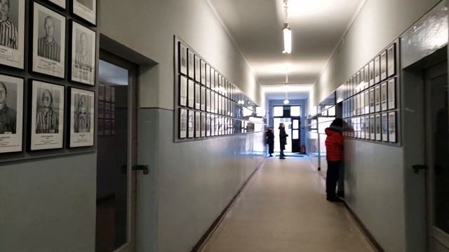 Экскурсия в Освенцим - Аушвиц Биркенау смотреть онлайн