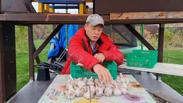 крупный чеснок, да без проблем, про чеснок по чесноку 22 смотреть онлайн