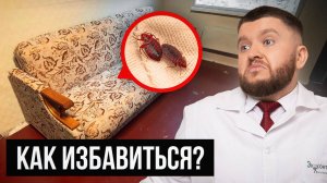 СДЕЛАЙТЕ ЭТО, чтобы Навсегда Избавиться от Клопов в Диване!
