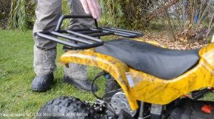 Квадроцикл MOTAX Mini Grizlik X-16 800W