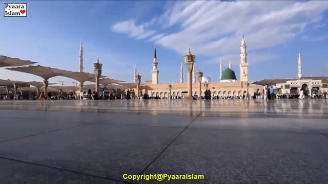 Prophet YAHYA (AS) ki Shahadat (Urdu/Hindi) - Pyaara Islam смотреть онлайн