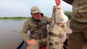 Так вот ты какая -принцесса Амура!За эту рыбу нам пришлось очень дорого заплатить!