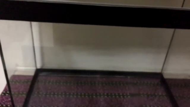 Нашел течь в аквариуме и устранил