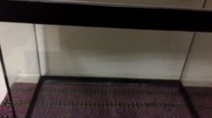 Нашел течь в аквариуме и устранил