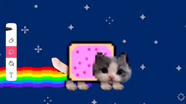 Making nyan cat real life #nyancat смотреть онлайн