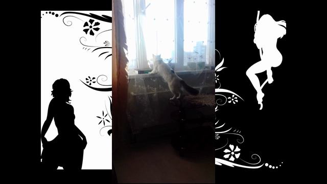 Агент Влашич смотреть онлайн