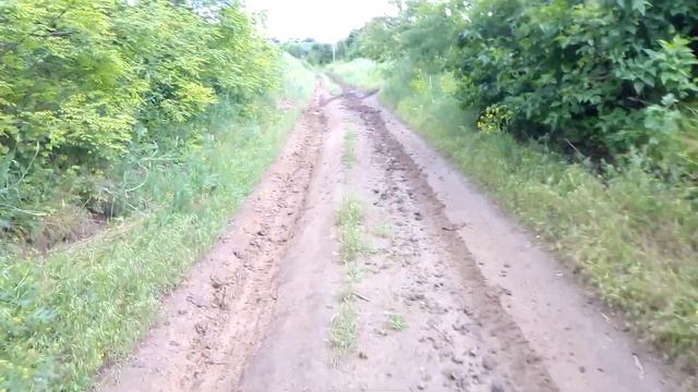 Х-ТРЕЙЛ хороший помощник на Пасека в дождливый год, цветения Аморфы, Акации и серебристого лоха смотреть онлайн