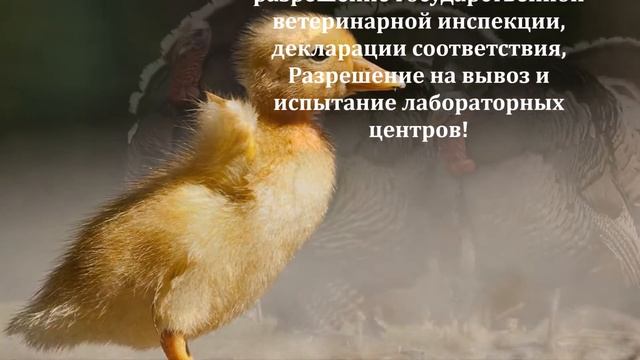 Рыбная мука Калининград \ купить цена оптом смотреть онлайн