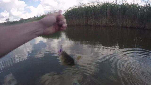 Силиконовые приманки Bait Breath E.T.Shad | Soft baits смотреть онлайн