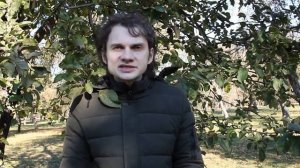 Кое-что о ржавчине груши. Самые эффективные препараты против ржавчины груши и время обработки