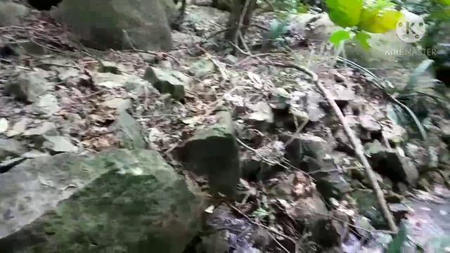 Adventure's Astro Rock смотреть онлайн