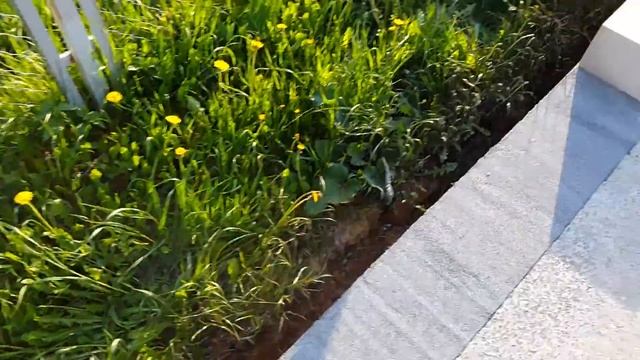 Фундаментная монолитная плита после восьми месяцев