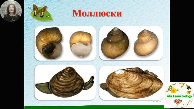 Природоведение .Охрана воды 1 часть. смотреть онлайн