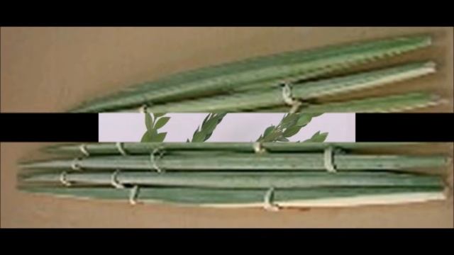 Суккот. Праздник единства смотреть онлайн