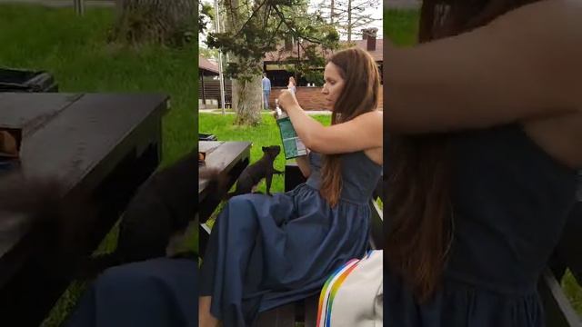 Наглая белка смотреть онлайн