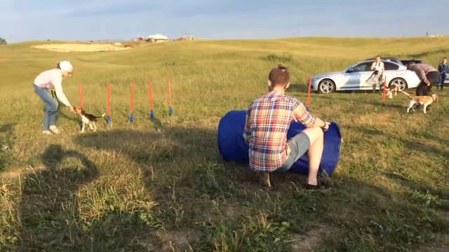 Полоса препятствий Церель, 3 место смотреть онлайн