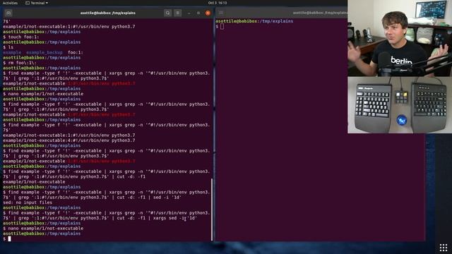 executable + shebang cleanup (puzzle #003) смотреть онлайн