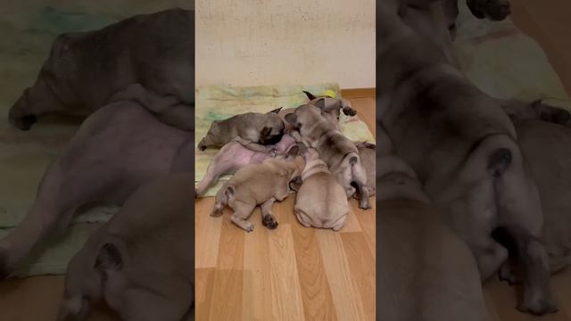 10 сентября 2022 г. смотреть онлайн