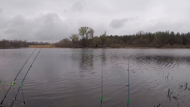 ПОШЛА РЫБАЛКА!!! Спиннинг 2019. ВЕСЕННЯЯ ЛОВЛЯ карася и плотвы с берега смотреть онлайн