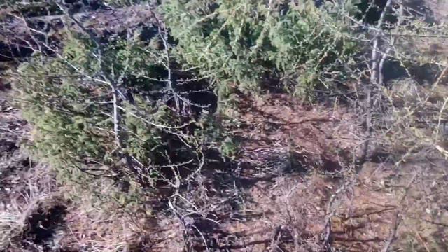 Норильск тундра май 2020 смотреть онлайн