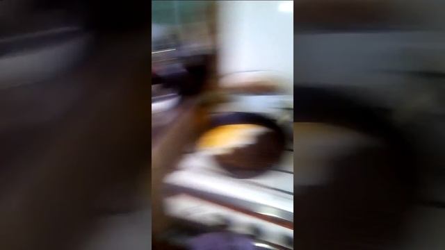 Замораживания яиц улиток