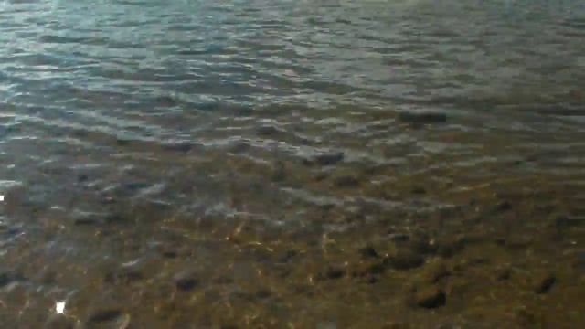 дунайский лосось (таймень) смотреть онлайн