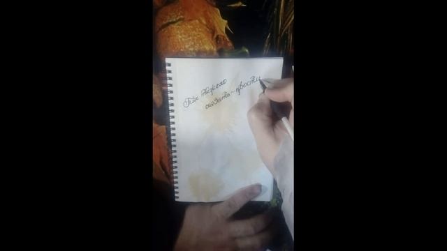 Волшебное перо. Простиль. смотреть онлайн