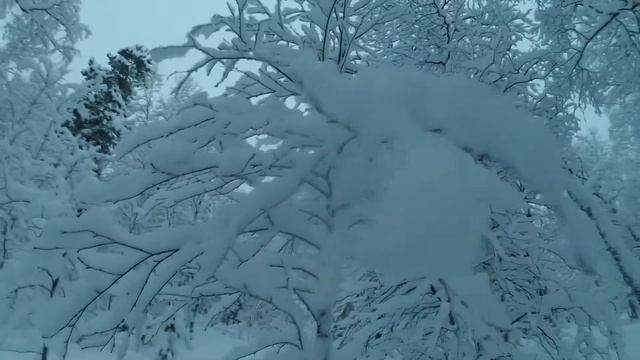 Едем домой: Мончегорск , Оленегорск и Кандалакша. Что там интересного в полярную ночь? смотреть онлайн